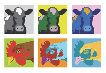 Marketing - RSPCA Freedom Food